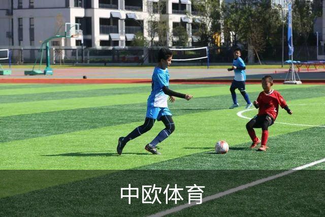 关于中欧体育